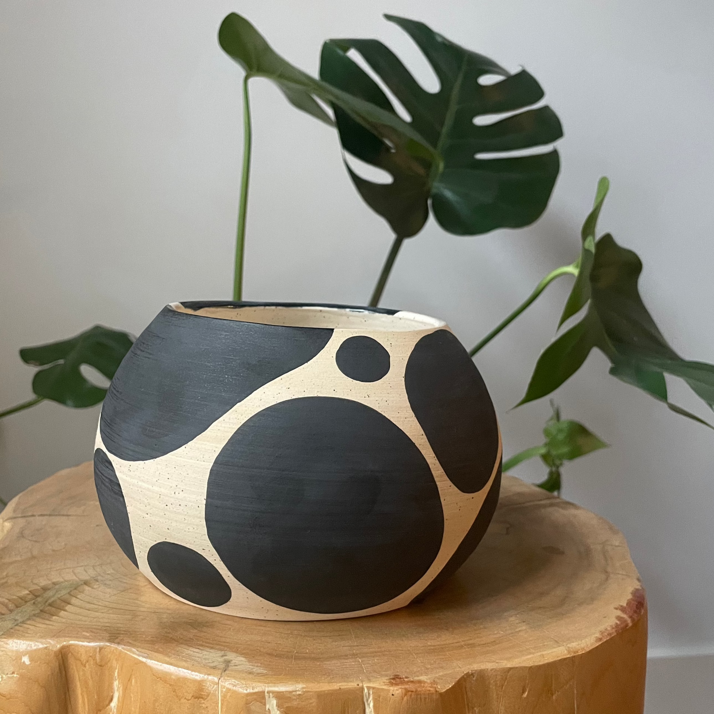 Blob Bowl 001